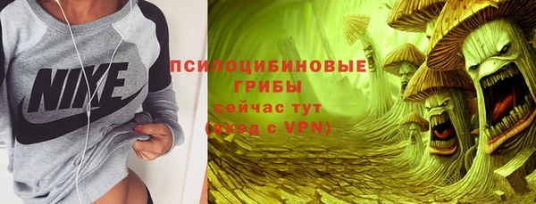 соль ск Алексеевка